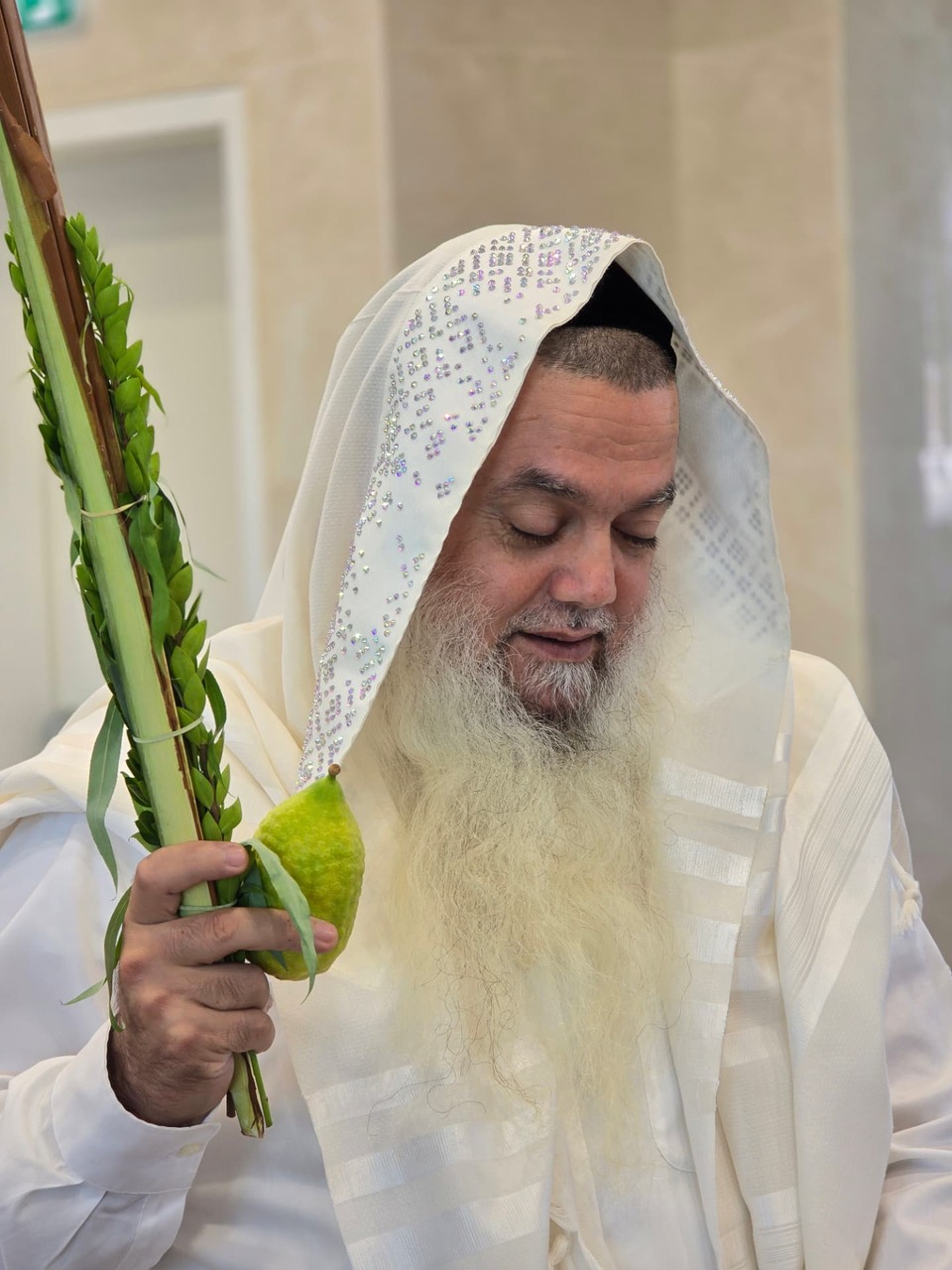 מורנו ורבנו הרב יגאל כהן שליט״א מחזיק אתרוג וארבעת המינים